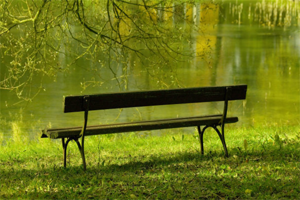 合肥十大公园排行榜：古逍遥津上榜，合肥中央公园最受欢迎插图6