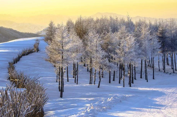 2021年冰雪旅游十佳城市排行榜：沈阳市上榜，东北着实强插图1