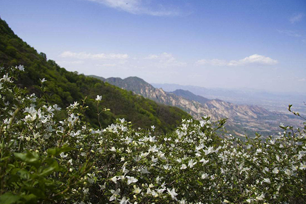 北京十大人少好玩的景点：香山公园上榜，夏季避暑好去处插图3