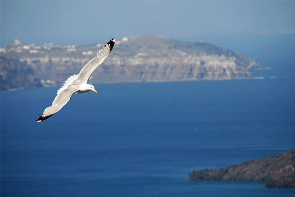 世界旅游必去十大景点 巴黎圣母院都能被烧，这些同样会消失插图2