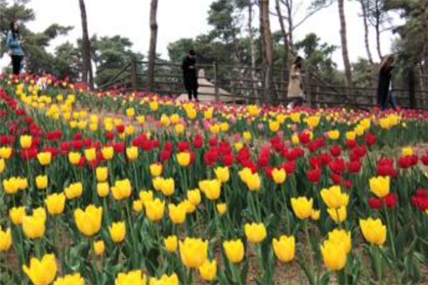 济南十大最受欢迎景点：千佛山上榜，它是天气第一泉插图8