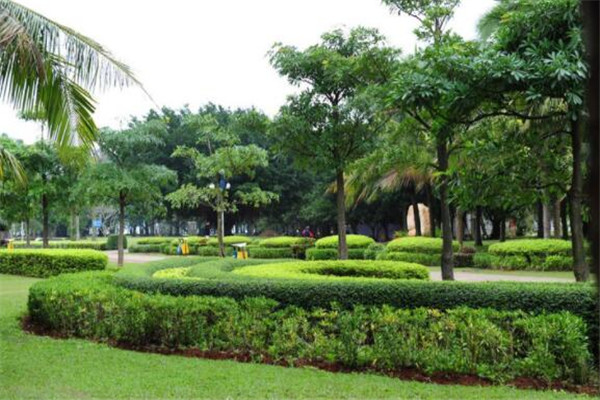 海口必去的五大景点，赏美景，吃美食就去骑楼老街插图4