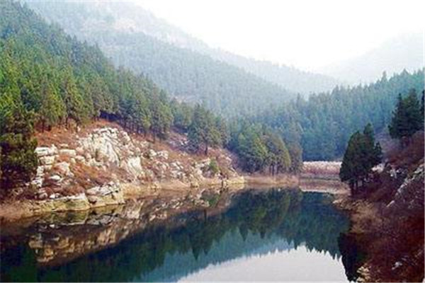 济南十大人少好玩的景点：莱芜野雪湖第7，第10绿色天堂插图5