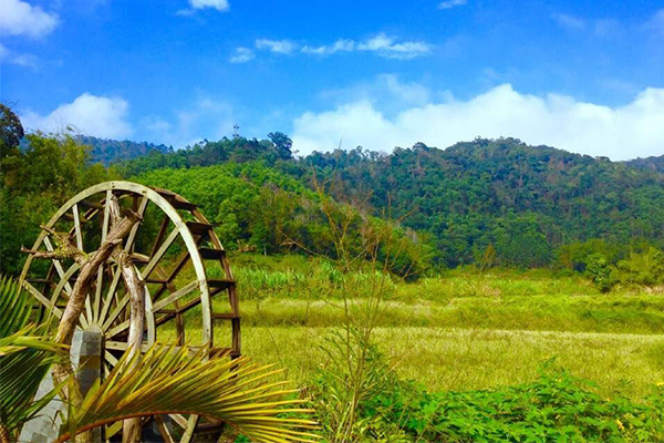 2019年中国美丽休闲乡村名单 杭州西湖龙井村上榜（完整版）插图