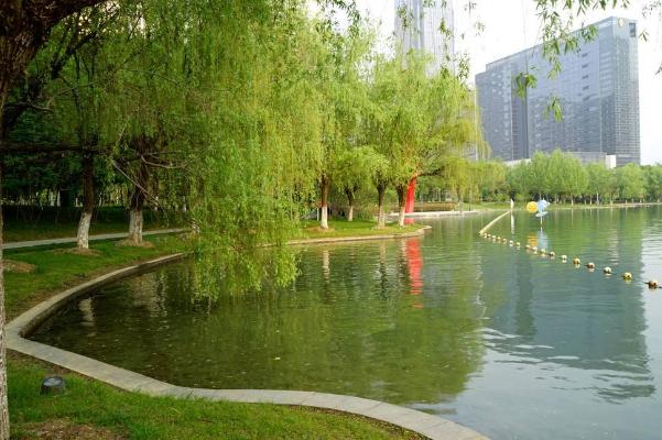 合肥十大网红景点：罍街上榜，它历史底蕴深厚插图