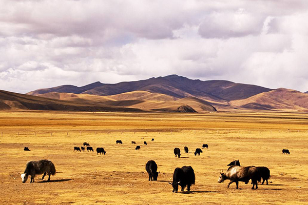 西藏最冷门的十大景点 有着“第二敦煌”称号的萨迦寺上榜插图3