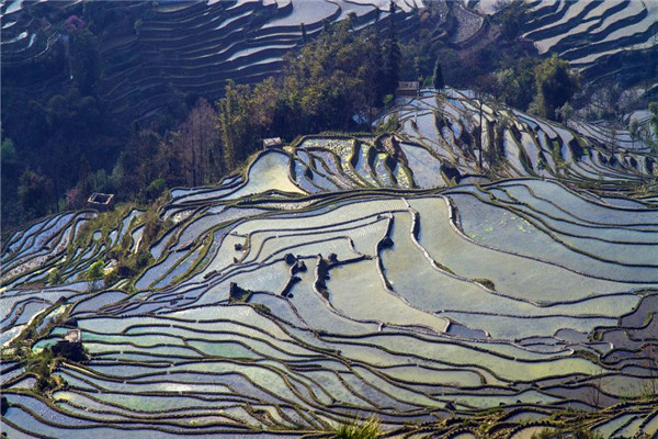 云南九大著名景点 昆明石林上榜 洱海是拍照圣地插图8