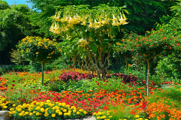 长春十大公园排行榜：南湖公园上榜，北海公园仅第六插图2