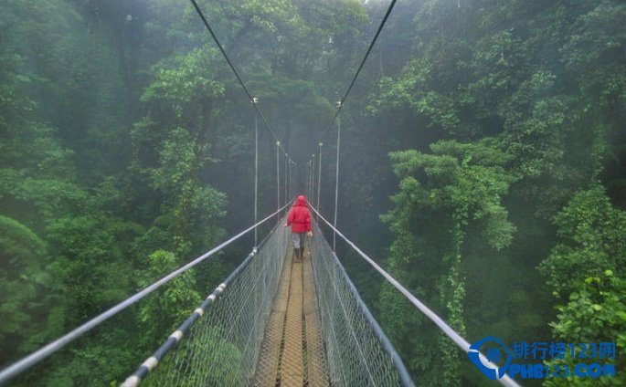 全球十大静美森林排行榜插图4