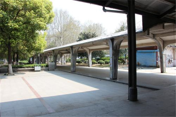 南京十大公园广场排名:河岸花海上榜，第3民国风情插图2