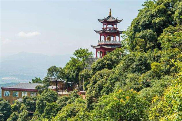 韶关十大公园广场排名:雄州公园上榜，第6看银杏插图8