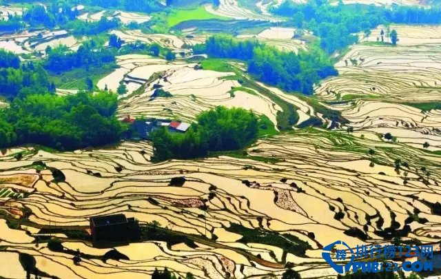 四川境内梯田TOP10 去四川看梯田插图6