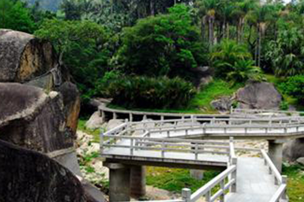 福建十大名山:三教名山武夷山上榜，第七名的特产是灵芝插图5