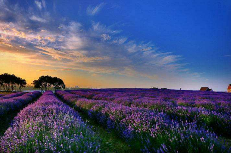 江苏十大名山排行榜 紫金山上榜 孙大圣故里位居榜首插图7