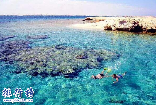全球潜水最好的地方有哪些?全球十大潜水度假胜地插图1