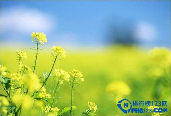 揭晓中国十大世外桃源 你无处可去嘛？插图6