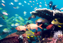 郑州十大情侣浪漫圣地 郑州适合情侣去的地方|爱分享