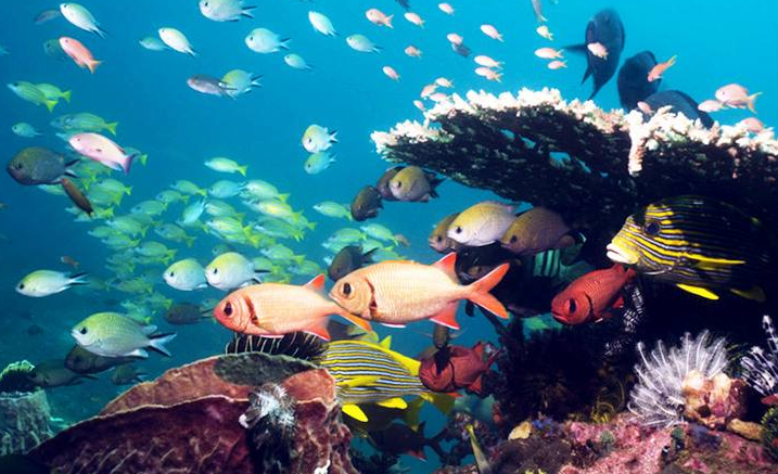 郑州十大情侣浪漫圣地 郑州适合情侣去的地方插图9