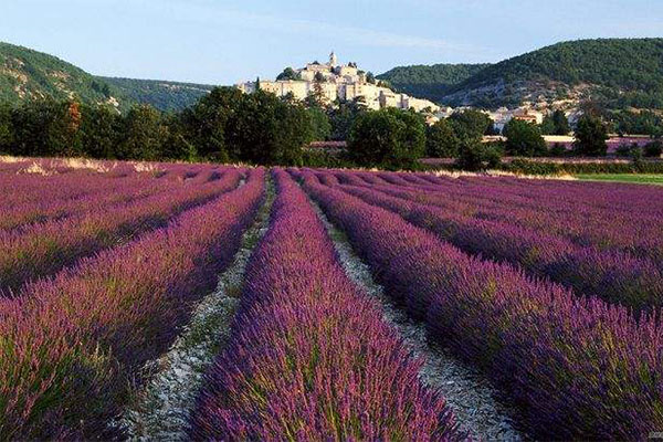 世界旅游必去十大景点 巴黎圣母院都能被烧，这些同样会消失插图3