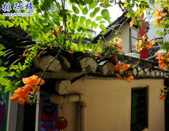 上海有什么好玩的地方 上海旅游必去的景点排行榜插图7