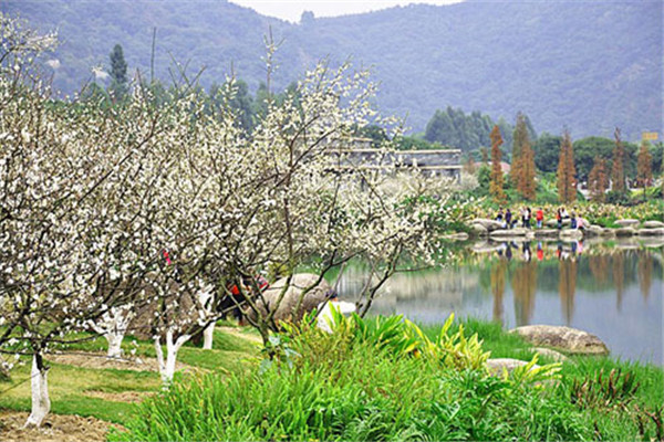 广东十大冬季旅游好去处：天露山上榜，第十冬季观候鸟插图8