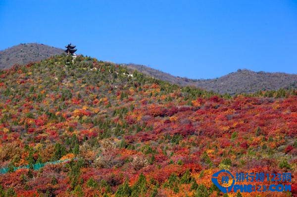 国内十大赏枫胜地排行榜插图5