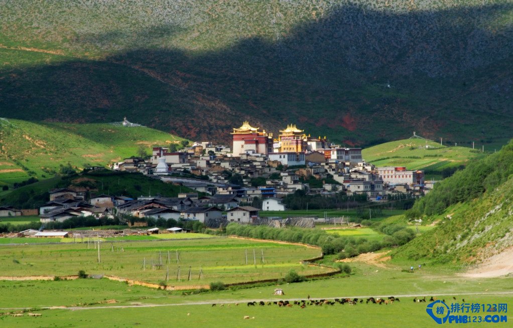 中国最适合洗肺10大城市，第一名果然是它插图9