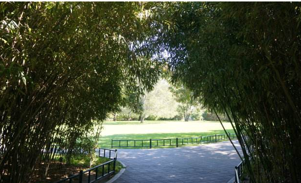 情侣不能去的十大地方 恋人不能去的分手圣地插图8