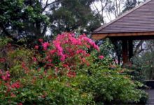 厦门私密性好的约会地 想和她说悄悄话就选这些的地方|爱分享