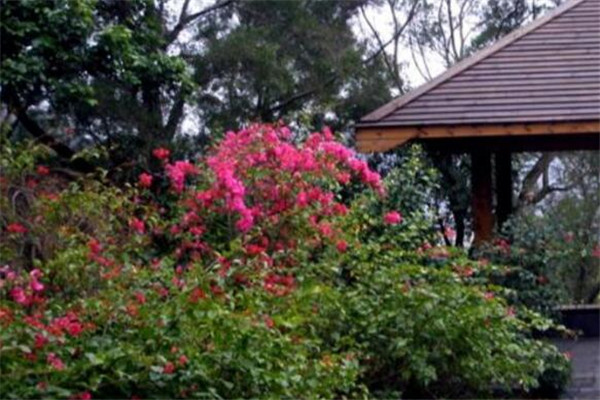 厦门私密性好的约会地 想和她说悄悄话就选这些的地方插图