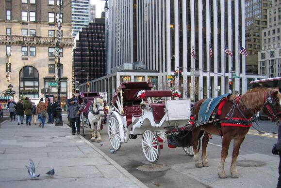 美国十大著名旅游景点 帝国大厦和自由女神像你都去过吗插图7