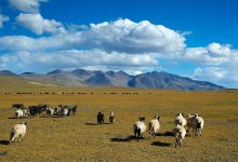 中国四大无人区:传说中有僵尸出没的生命禁区|爱分享