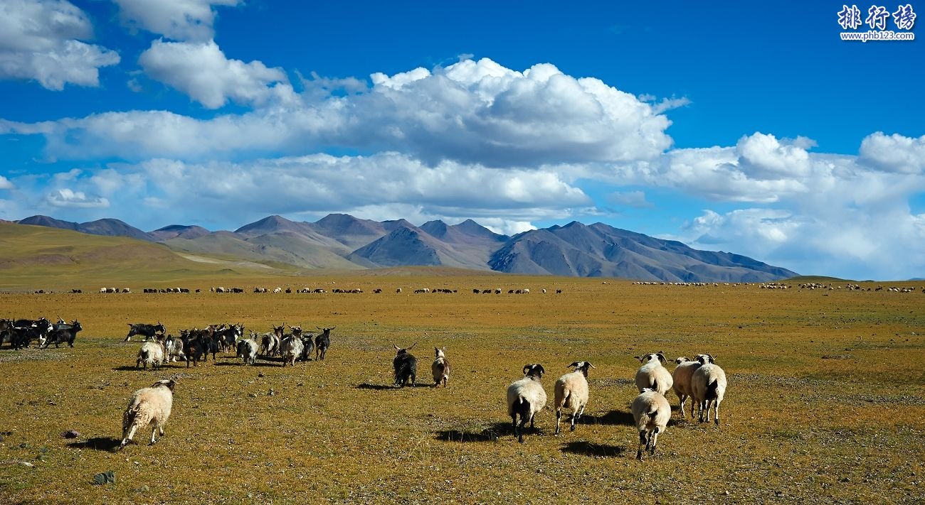 中国四大无人区:传说中有僵尸出没的生命禁区插图4