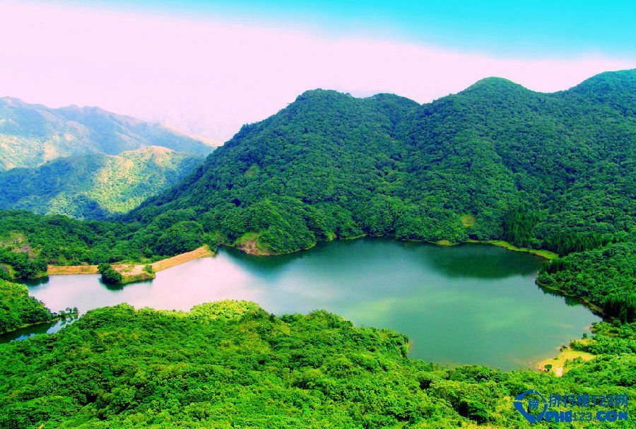 广东十大最美森林插图4