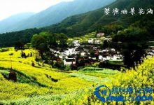 中国九大最让人迷醉的花海排行榜 让人迷醉的花海|爱分享