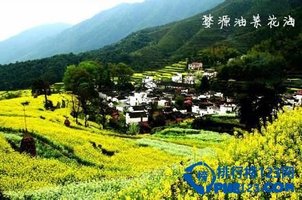 中国九大最让人迷醉的花海排行榜 让人迷醉的花海插图8