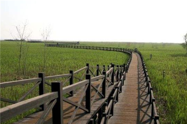 魔都5大绝美免费景点 朱家角古镇充满古建筑上海外滩上榜插图3