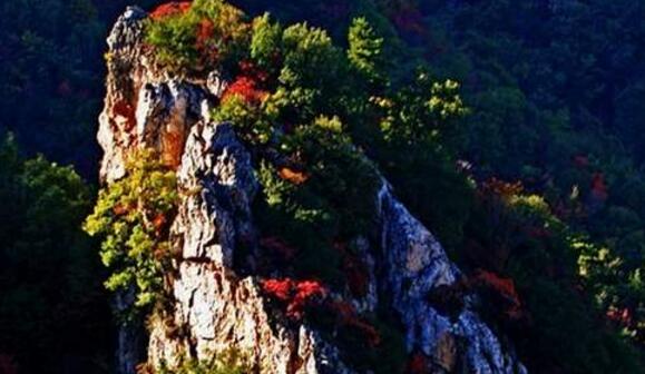 三门峡好玩的地方排行榜 仰韶文化遗址必去插图7