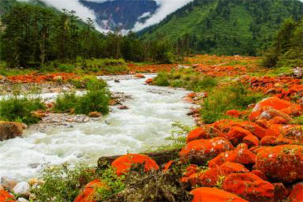 10个地方的石头不能捡：墓地中的不能捡，第四捡了要罚款插图5