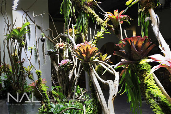 福州十大热门展馆排名：科技馆第2，第9商品物美价廉插图6