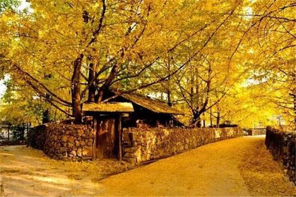 10月国内最佳旅游地点排行榜：蛟河红叶谷上榜，第2在新疆插图6