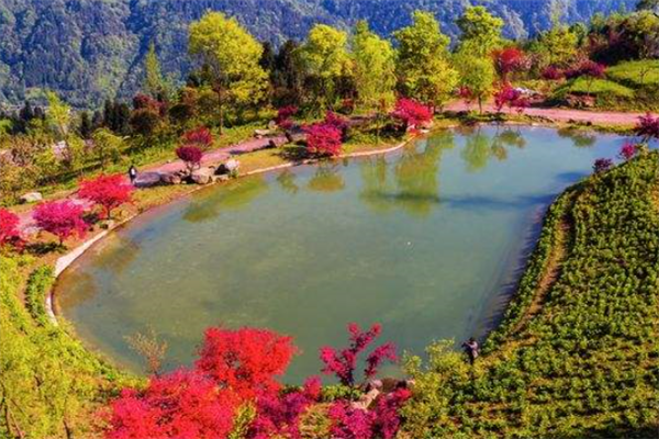 德阳十大风景名胜排行榜：白龙潭上榜，第十可以看油菜花插图2