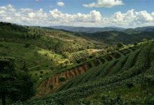 思茅地区好玩的地方推荐 思茅地区好玩的地方排行榜|爱分享