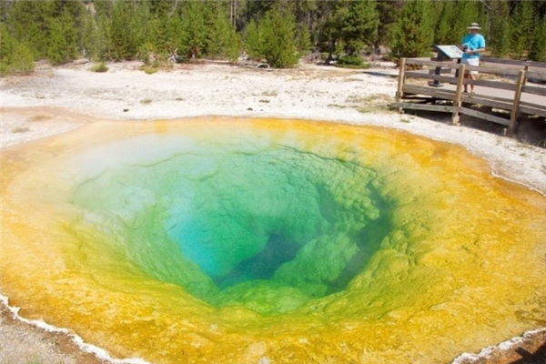 世界著名的十大花园：邱园第四，中国有一个上榜插图