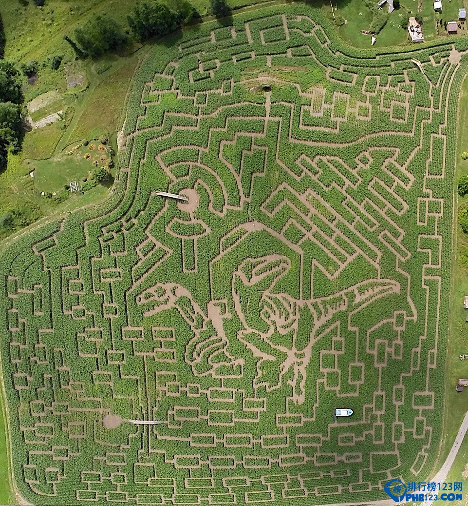 世界十大迷宫插图7