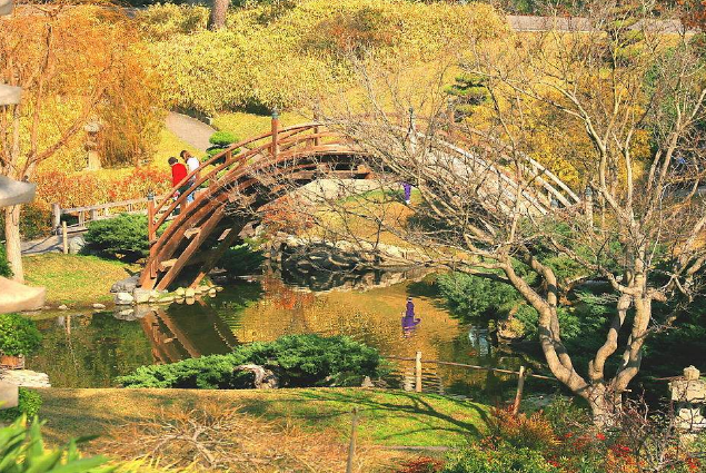 世界最美的十大花园 豫园上榜，每个都宛如人间仙境插图6