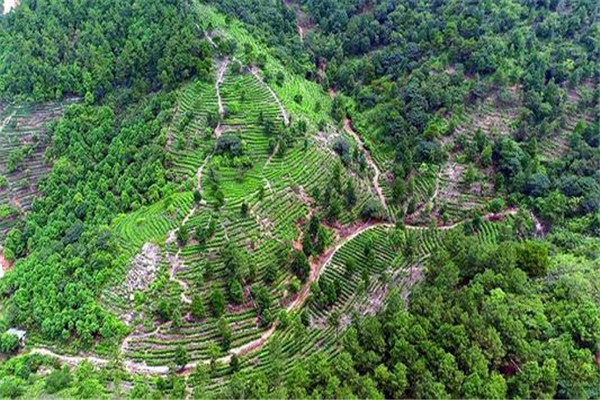 江门十大风景名胜排名：打鼓岭上榜，第六网红风车插图2