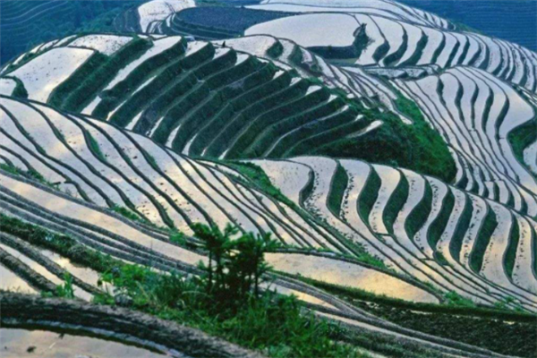 桂林十大最受好评景点：龙脊梯田上榜，第九是水陆溶洞插图7