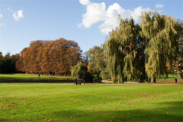 杭州十大公园排行榜：文化公园上榜，它古色古香插图1