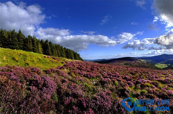 爱尔兰10大不可错过的景点排行榜插图5